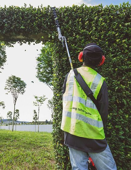 Garden care